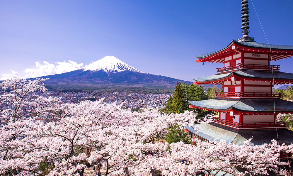 20 Facts About Japan That Will Astound You