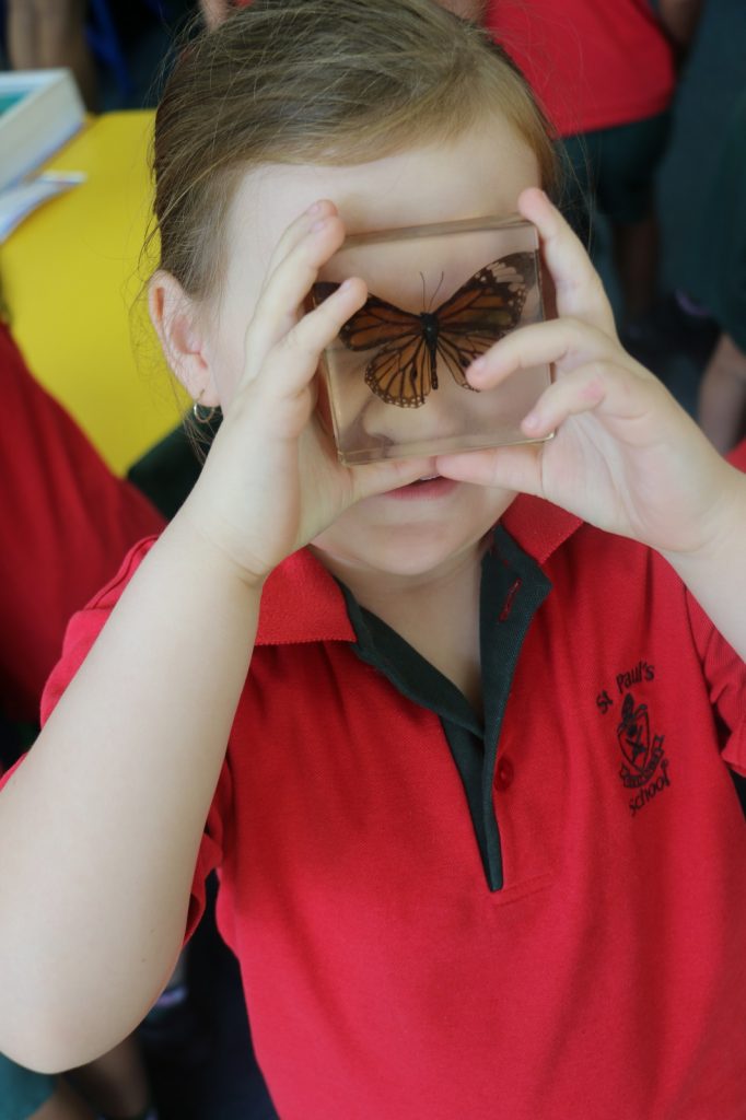 Year 1 Insects (7)