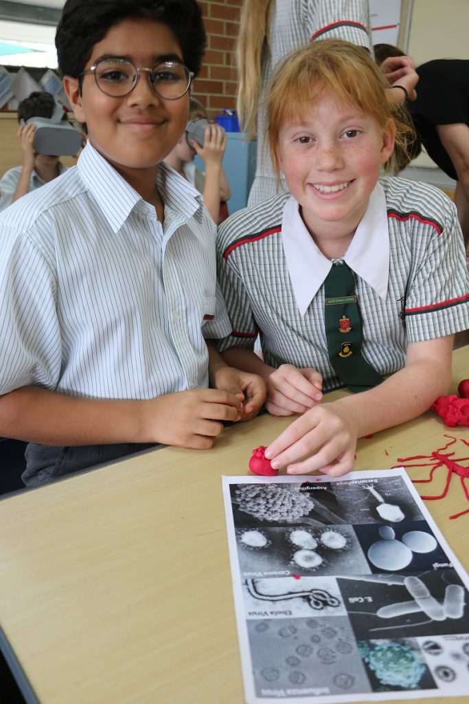 Year 6 Science (8)