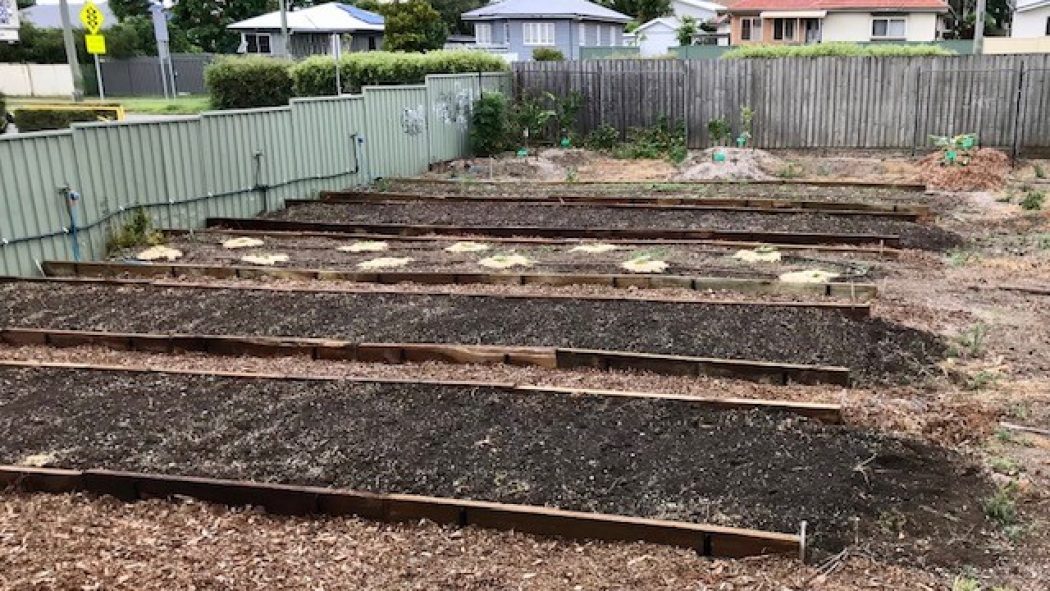 st paul's school community garden