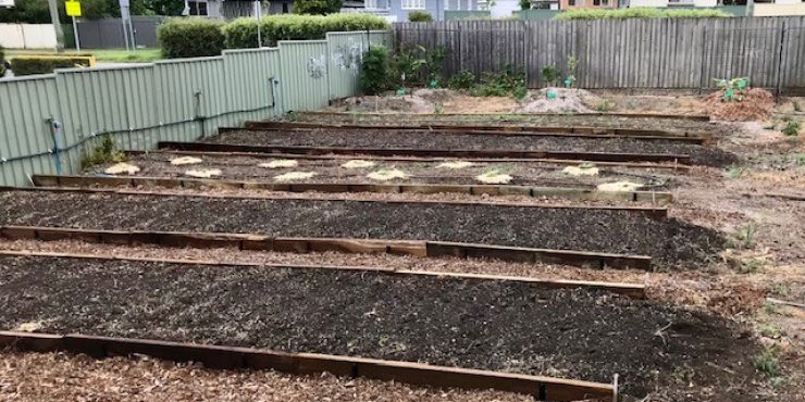 st paul's school community garden