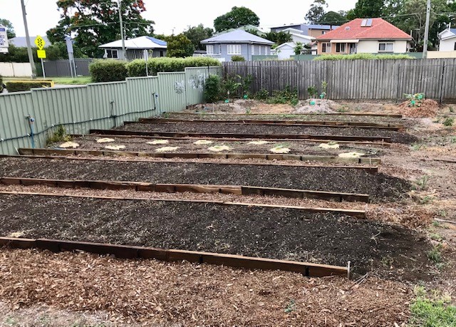 st paul's school community garden